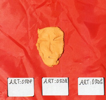 Articolo 07